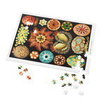 Ernst Haeckel Ascidiae Jigsaw Puzzle - USA Supplied