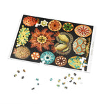 Ernst Haeckel Ascidiae Jigsaw Puzzle - USA Supplied