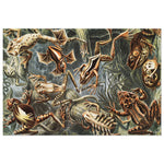 Frogs Jigsaw Puzzle - USA Supplied