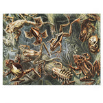 Frogs Jigsaw Puzzle - USA Supplied